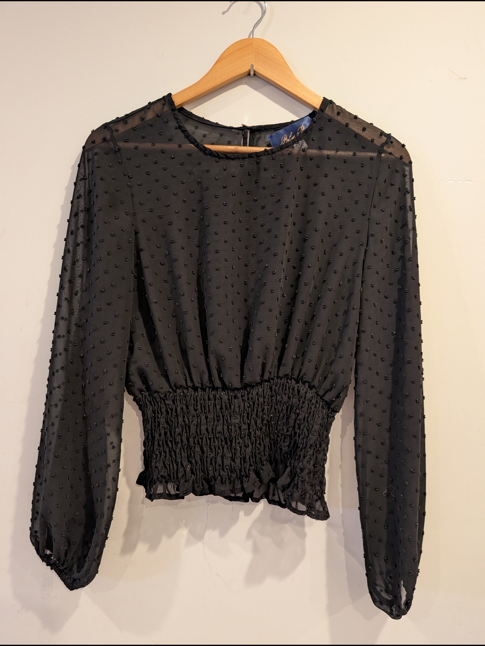 Women's Black Swiss Dot Smocked-Waist Long Sleeve Blouse Sheer S Whimsigoth Mood